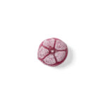 Gicopa Sour Violets Pieces